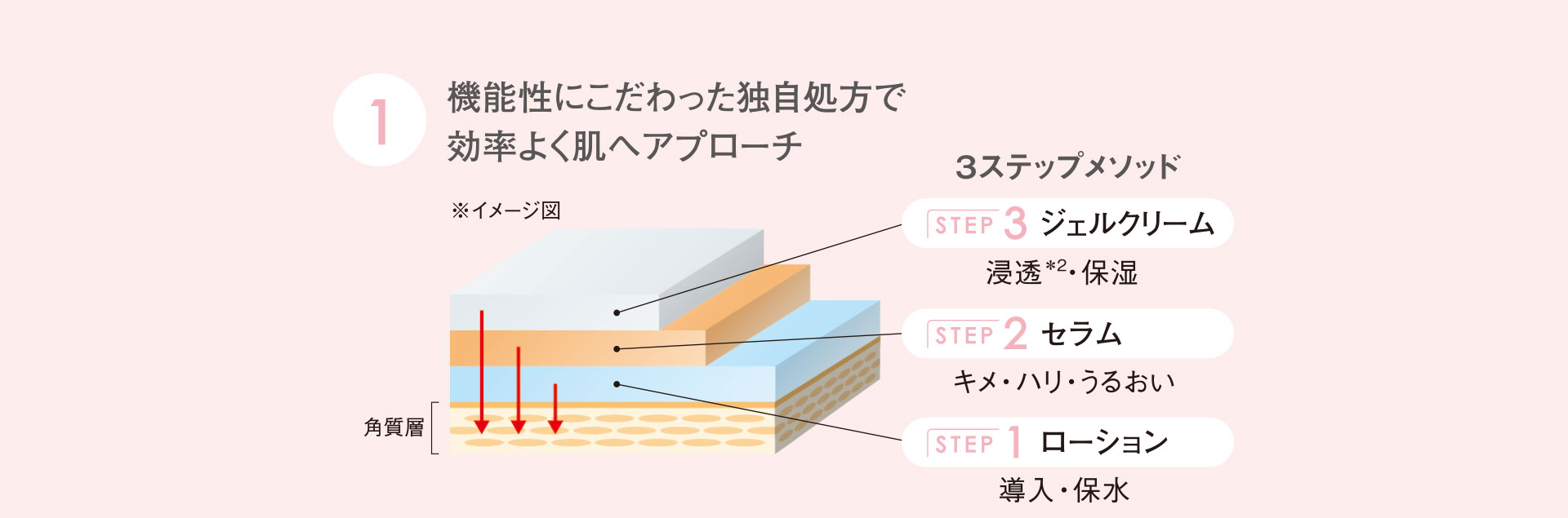機能性にこだわった独自処方で効率よく肌へアプローチ