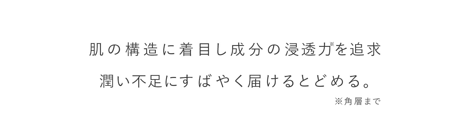 肌の構造に着目し成分の浸透力を追求