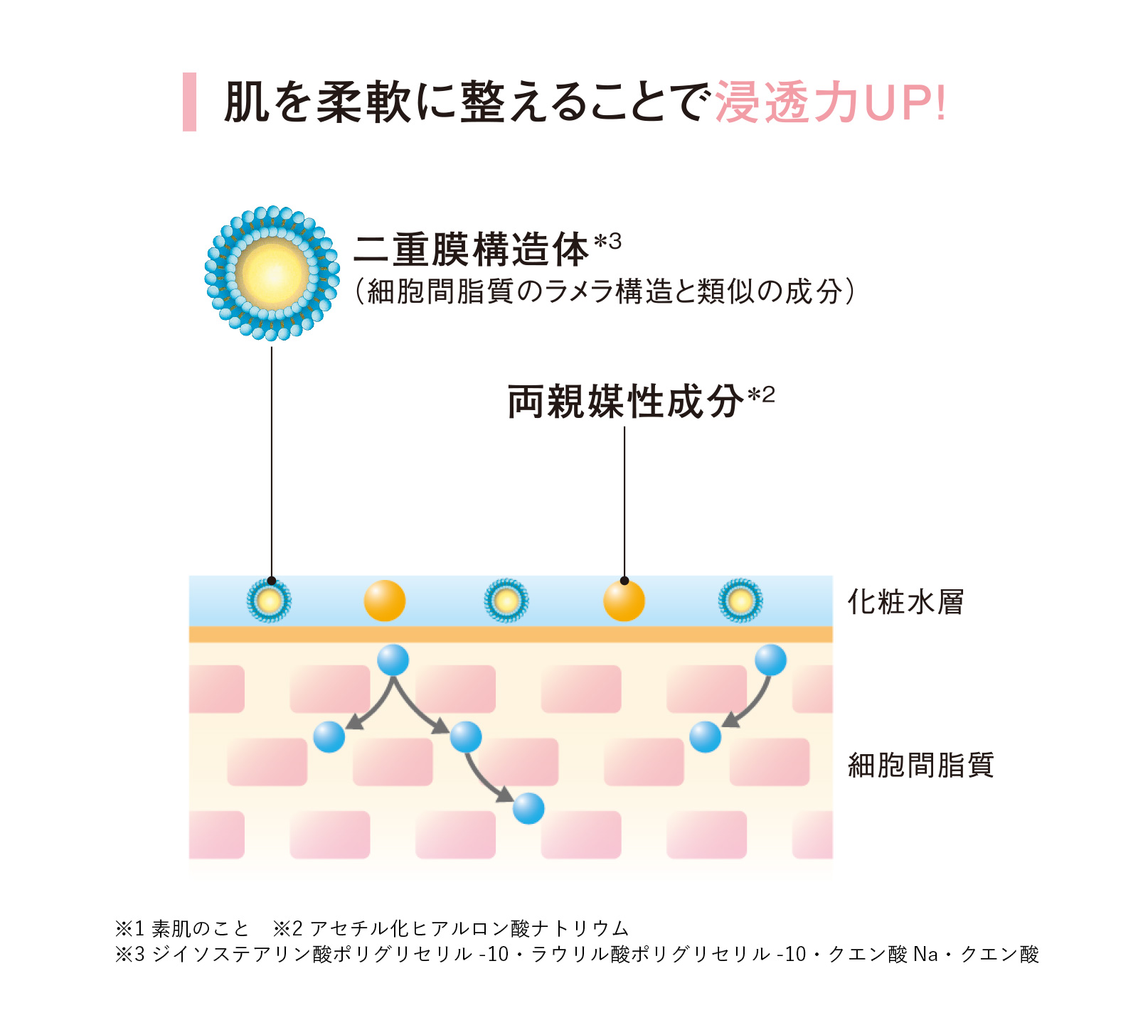 肌を整えることで浸透力アップ
